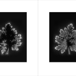 Marie-Jeanne Musiol, Miroir du cosmos (vidéo), 2006