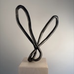 Roberto Pellegrinuzzi, Trajectoire ( lièvre 1)