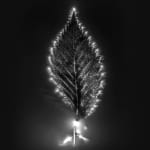 Marie-Jeanne Musiol, Miroir du cosmos (vidéo), 2006