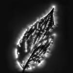Marie-Jeanne Musiol, Miroir du cosmos (vidéo), 2006