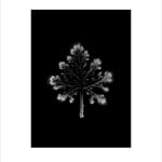 Marie-Jeanne Musiol, Corps de lumière no 401 (Feuille) / Bodies of Light no. 401 (Leaf), 2018