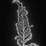 Marie-Jeanne Musiol, Corps de lumière no 401 (Feuille) / Bodies of Light no. 401 (Leaf), 2018