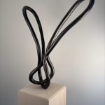 Roberto Pellegrinuzzi, Trajectoire ( lièvre 1)