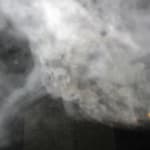 Dil Hildebrand, Grassland, 2023