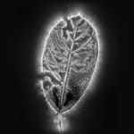 Marie-Jeanne Musiol, Miroir du cosmos (vidéo), 2006