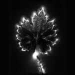Marie-Jeanne Musiol, Miroir du cosmos (vidéo), 2006