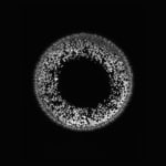 Marie-Jeanne Musiol, Miroir du cosmos (vidéo), 2006