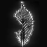 Marie-Jeanne Musiol, Miroir du cosmos (vidéo), 2006