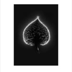 Marie-Jeanne Musiol, Miroir du cosmos (vidéo), 2006