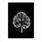 Marie-Jeanne Musiol, Miroir du cosmos (vidéo), 2006