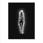 Marie-Jeanne Musiol, Corps de lumière no 401 (Feuille) / Bodies of Light no. 401 (Leaf), 2018