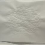 Karilee Fuglem, Sans titre (le mur qui respire) / Untitled (breathing wall), 1997-2024