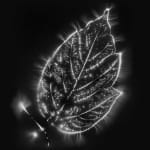 Marie-Jeanne Musiol, Corps de lumière no 401 (Feuille) / Bodies of Light no. 401 (Leaf), 2018