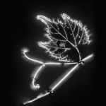 Marie-Jeanne Musiol, Miroir du cosmos (vidéo), 2006