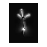Marie-Jeanne Musiol, Miroir du cosmos (vidéo), 2006