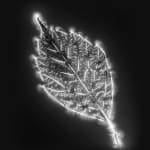 Marie-Jeanne Musiol, Miroir du cosmos (vidéo), 2006