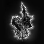 Marie-Jeanne Musiol, Corps de lumière no 401 (Feuille) / Bodies of Light no. 401 (Leaf), 2018