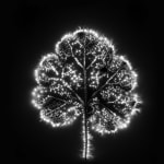 Marie-Jeanne Musiol, Miroir du cosmos (vidéo), 2006