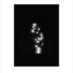 Marie-Jeanne Musiol, Miroir du cosmos (vidéo), 2006