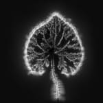 Marie-Jeanne Musiol, Miroir du cosmos (vidéo), 2006