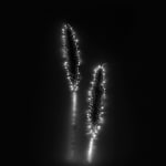 Marie-Jeanne Musiol, Corps de lumière no 401 (Feuille) / Bodies of Light no. 401 (Leaf), 2018