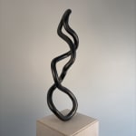Roberto Pellegrinuzzi, Trajectoire ( lièvre 1)