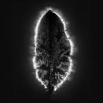 Marie-Jeanne Musiol, Miroir du cosmos (vidéo), 2006