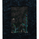 Aaron McIntosh, Entanglements: Flowers at the Border / Keeping Safe, 2022