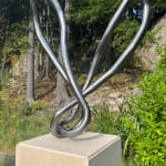 Roberto Pellegrinuzzi, Trajectoire ( lièvre 1)