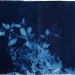 Loren Williams, Linden Constellations 5, 2020