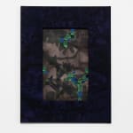 Aaron McIntosh, Entanglements: Flowers at the Border / Keeping Safe, 2022