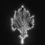 Marie-Jeanne Musiol, Corps de lumière no 401 (Feuille) / Bodies of Light no. 401 (Leaf), 2018