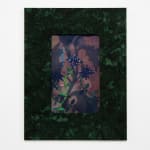 Aaron McIntosh, Entanglements: Flowers at the Border / Keeping Safe, 2022