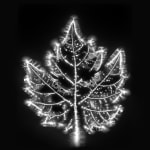 Marie-Jeanne Musiol, Miroir du cosmos (vidéo), 2006