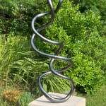 Roberto Pellegrinuzzi, Trajectoire ( lièvre 1)