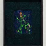 Aaron McIntosh, Entanglements: Flowers at the Border / Keeping Safe, 2022