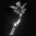 Marie-Jeanne Musiol, Miroir du cosmos (vidéo), 2006