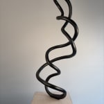 Roberto Pellegrinuzzi, Trajectoire ( lièvre 1)