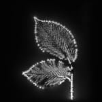 Marie-Jeanne Musiol, Miroir du cosmos (vidéo), 2006