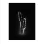 Marie-Jeanne Musiol, Corps de lumière no 401 (Feuille) / Bodies of Light no. 401 (Leaf), 2018