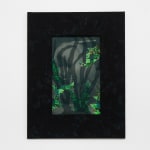 Aaron McIntosh, Entanglements: Flowers at the Border / Keeping Safe, 2022