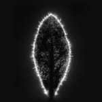 Marie-Jeanne Musiol, Miroir du cosmos (vidéo), 2006