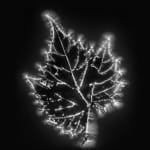 Marie-Jeanne Musiol, Corps de lumière no 401 (Feuille) / Bodies of Light no. 401 (Leaf), 2018