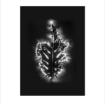 Marie-Jeanne Musiol, Corps de lumière no 401 (Feuille) / Bodies of Light no. 401 (Leaf), 2018