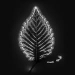 Marie-Jeanne Musiol, Miroir du cosmos (vidéo), 2006