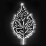 Marie-Jeanne Musiol, Miroir du cosmos (vidéo), 2006