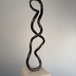Roberto Pellegrinuzzi, Trajectoire ( lièvre 1)