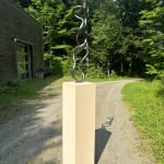 Roberto Pellegrinuzzi, Trajectoire ( lièvre 1)