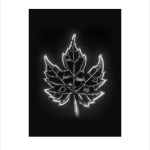 Marie-Jeanne Musiol, Corps de lumière no 401 (Feuille) / Bodies of Light no. 401 (Leaf), 2018