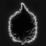 Marie-Jeanne Musiol, Miroir du cosmos (vidéo), 2006